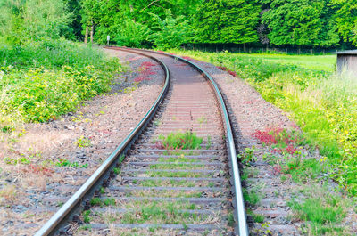 View of railroad track amidst trees