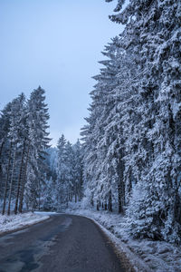 Road amidst trees against clear sky during winter