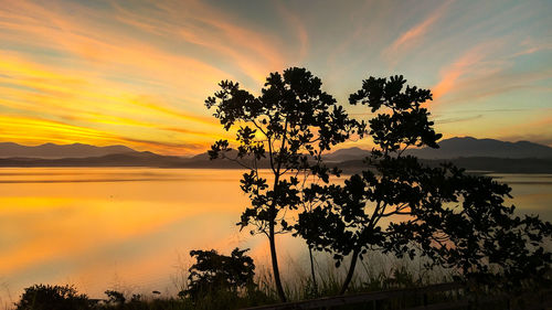 Silhouette tree by lake against sky during sunset