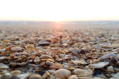 Surface level of stones on landscape