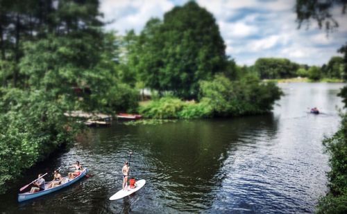 Reflection of trees in water