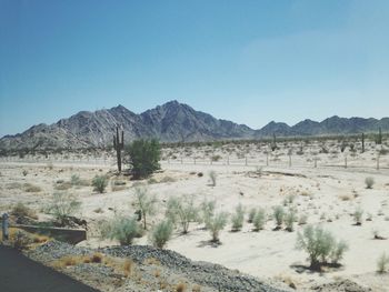 Scenic view of desert against clear sky