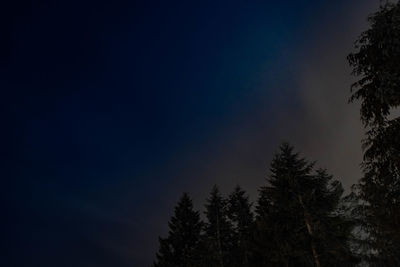 Low angle view of silhouette trees against clear sky at night