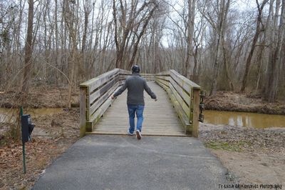 Rear view of people walking in forest