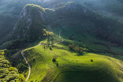 Summer green landscape in the transylvanian hills, apuseni mountains