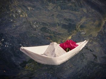 High angle view of crab swimming in lake