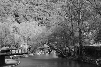 Scenic view of river and bare trees against sky