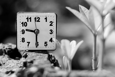 The clock is set with nature.