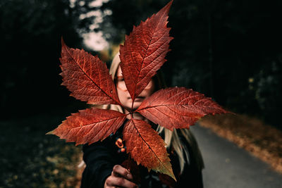 Close-up of plant against blurred background