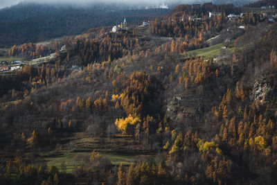 High angle view of trees on landscape