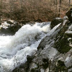 Scenic view of waterfall
