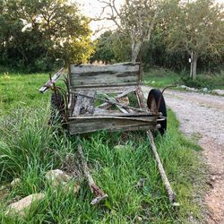 Bench in field