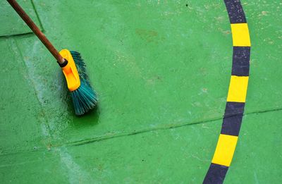 High angle view of parrot on green leaf