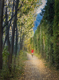 Rear view of woman walking on road in forest