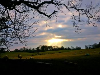 Scenic view of grassy field against cloudy sky