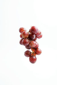 Close-up of berries against white background
