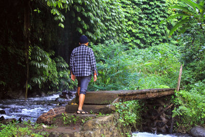 Rear view of man standing in forest