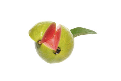 Close-up of fruit against white background