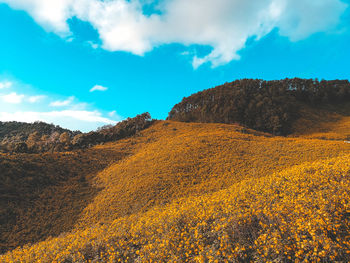 Scenic view of landscape against sky