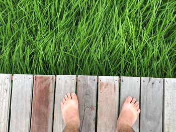 Low section of person standing on wood