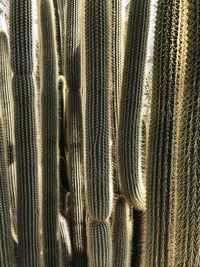 Full frame shot of abstract pattern