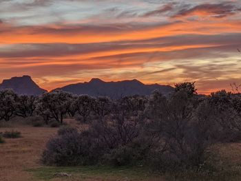 Scenic view of field against sky during sunset
