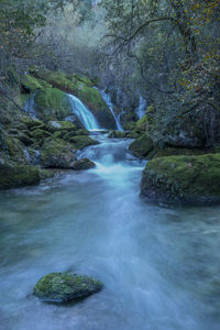 Scenic view of waterfall in forest