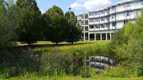 Trees and plants on field by river against sky