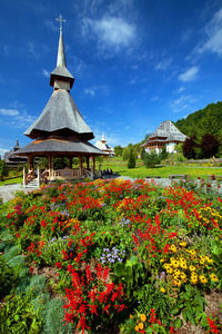 Low angle view of garden surrounding barsana monastery