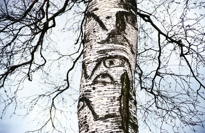 Low angle view of bare trees against clear sky