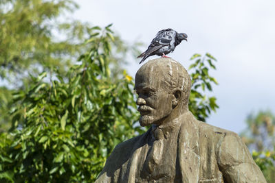 Statue of soviet leader lenin. there's a pigeon on his head.  crimea, sudak - 10 october 2020.