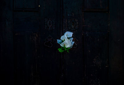 Directly above shot of white flowering plant on wooden door