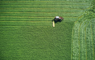 Old red tractor making level harrows on field