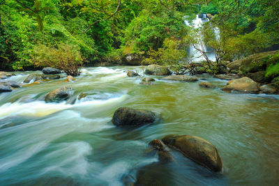 River flowing through rocks in forest