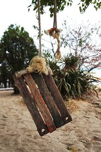 Swing hanging on tree