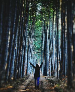 Rear view of person standing on walkway in forest