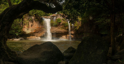 Scenic view of waterfall in forest