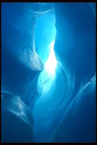 Jellyfish in blue sea