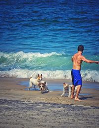 Man and dogs standing on beach against sea