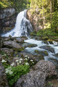 Scenic view of waterfall in forest