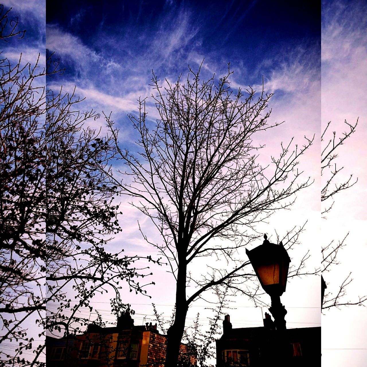 LOW ANGLE VIEW OF SILHOUETTE TREES AGAINST SKY DURING SUNSET