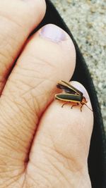 Close-up of human hand on finger