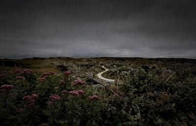 Scenic view of field against cloudy sky