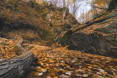 Landscape of small waterfall in autumn forest.