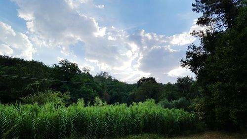 Scenic view of field against cloudy sky