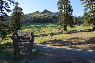 Information sign by road in forest against clear sky
