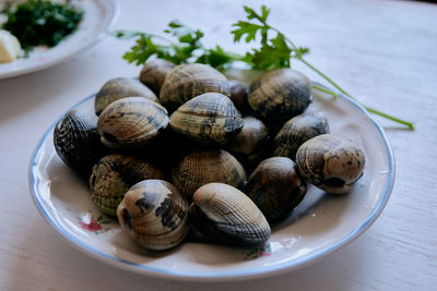 High angle view of shells in plate