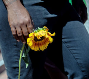 Close-up of hand holding yellow flower on street