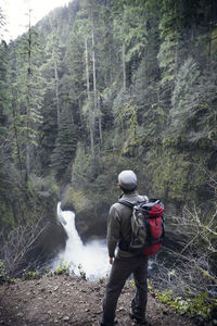 Rear view of man standing in forest