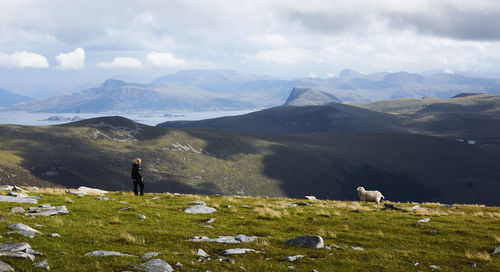 Scenic view of landscape against sky